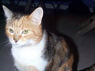 florrie 01.jpg